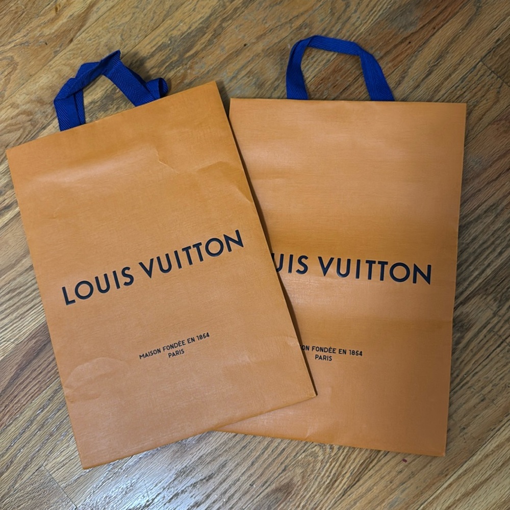 Louis Vuitton  paper bag (2)